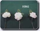 HB02