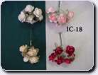 IC-18