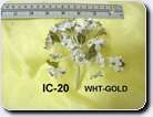 IC-20