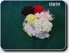 H859