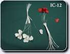 IC-12