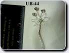 UB-44