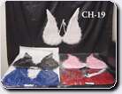 CH-19