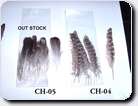 CH-05,CH-04